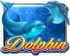 DOLPHIN