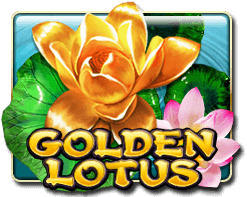 GOLDEN LOTUS