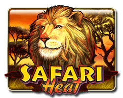 SAFARI HEAT