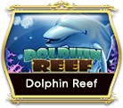 DOLPHIN REEF