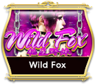 WILD FOX