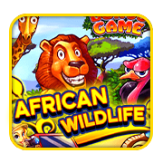 AFRICAN