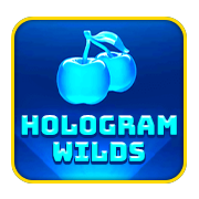 HOLOGRAM