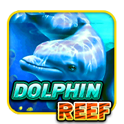 DOLPHIN REEF